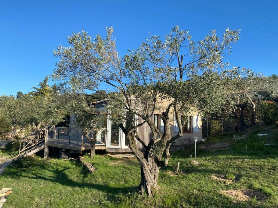 Neuve Romantique Montbrun-des-Corbières Exterior foto